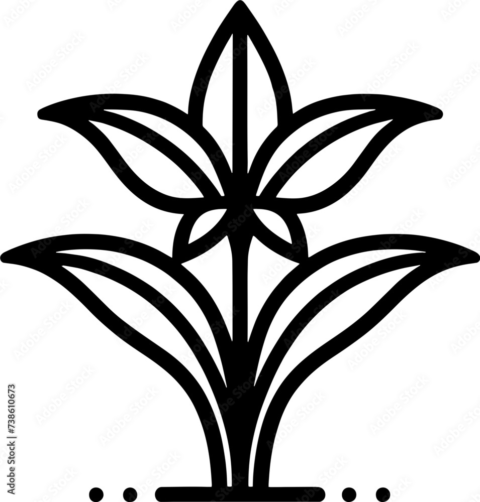 Obraz premium Haemodoraceae Plant icon 8