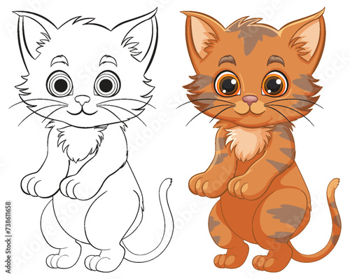 Vector illustration of a colored and outlined kitten
