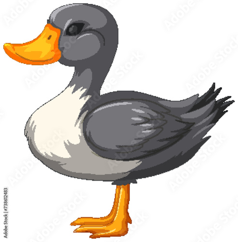 Cartoon-style vector graphic of a cute duck