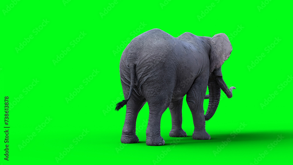 Fototapeta premium African elephant idle. 3d rendering.