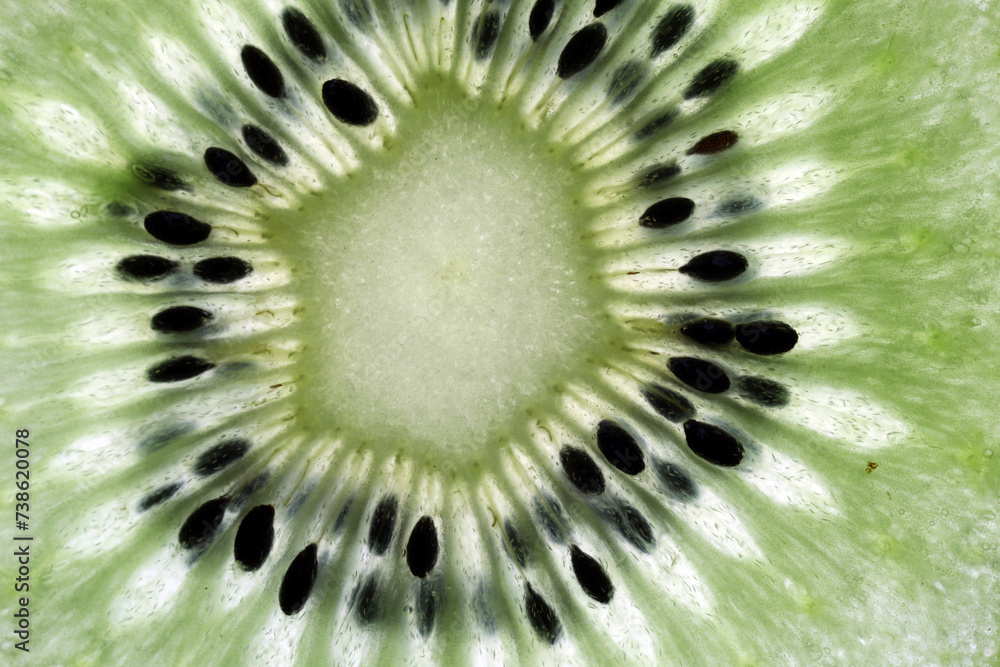 Section of a Kiwi fruit viewed by transparence - Actinidia deliciosa Section of a Kiwi fruit viewed by transparence - Actinidia deliciosa