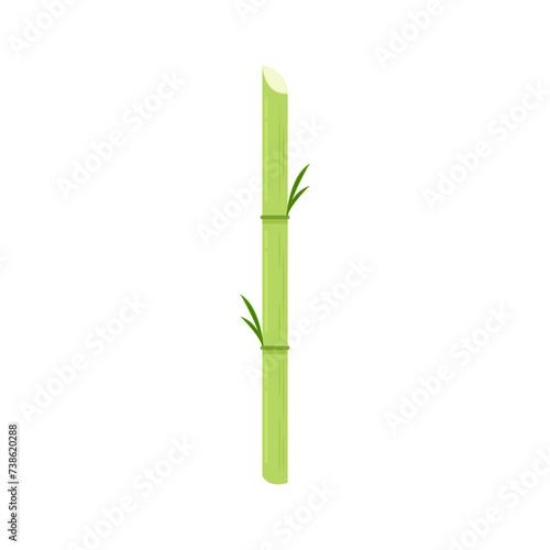 Sugar cane vector. Sugar cane on white background.