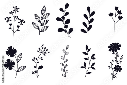 Collection of flowers, leaves and branches silhouettes isolated on white background.