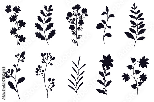 Collection of flowers, leaves and branches silhouettes isolated on white background. © Desenarrt