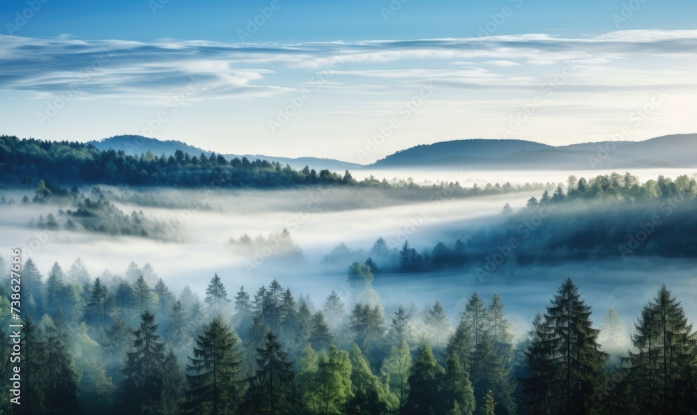 Mystical Enchantment: A Serene Forest Shrouded in Enigmatic Fog