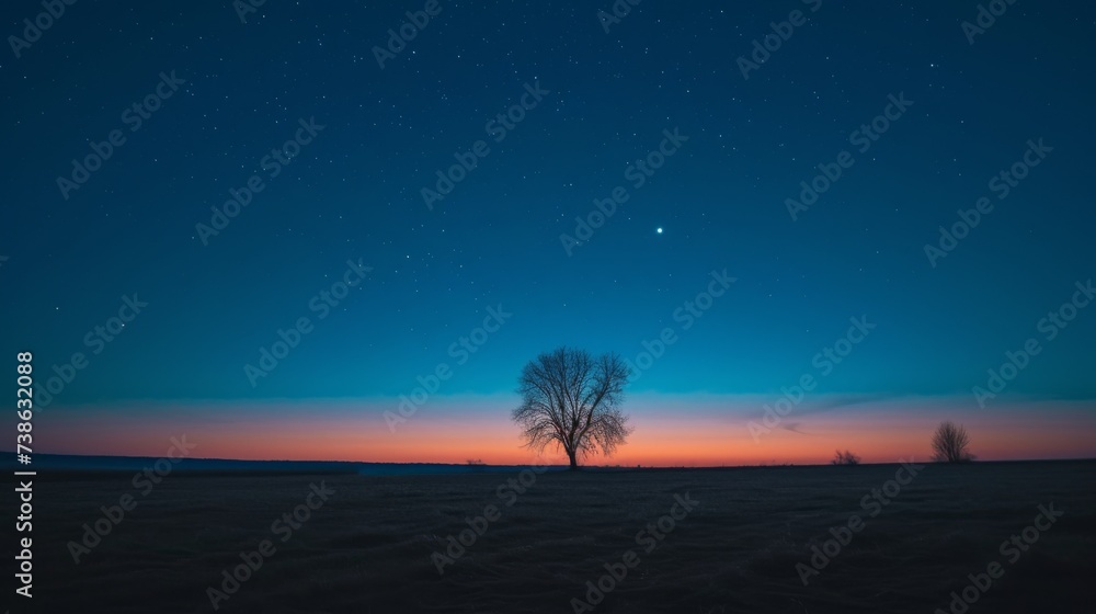Lonely tree inA lonely tree in the middle of a field at night with stars in the sky. the field at night with starry sky. Lonely tree inA lonely tree in the middle of a field at night with stars in the sky. the field at night with starry sky.