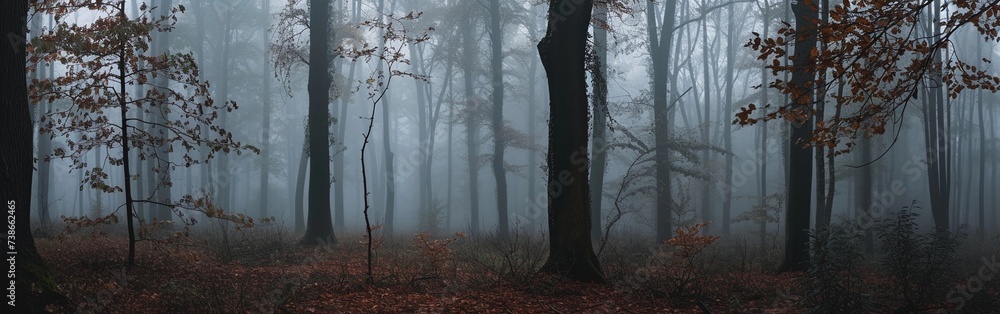 Autumn Whisper in Misty Forest