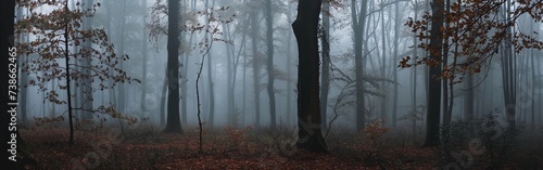 Autumn Whisper in Misty Forest