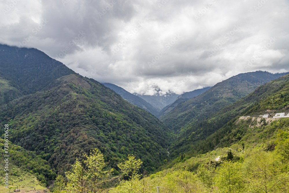 High mountains slopes covered in thick virgin forest and shrouded in cloud near the small village of senge near tawang in western arunachal pradesh, India.