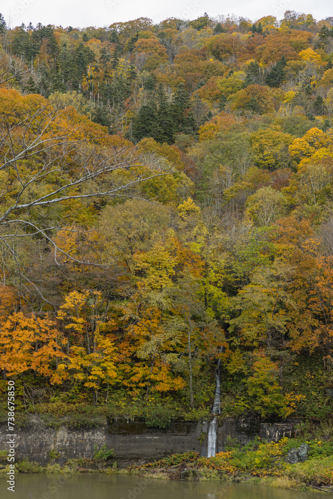 Fototapeta premium 日本 北海道旭川市にある神居古潭の紅葉と石狩川