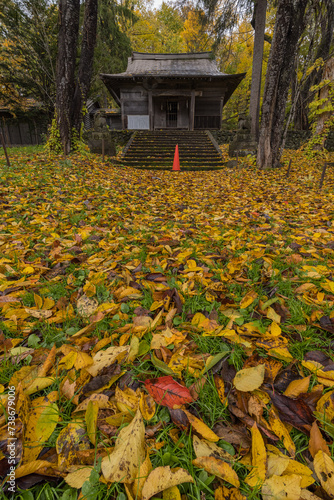 日本　北海道旭川市の旭山公園にある旭山稲荷金刀比羅神社と紅葉 photo