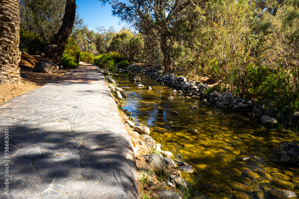 Fototapeta premium Gran Canaria Meloneras Path and Stream in a Garden