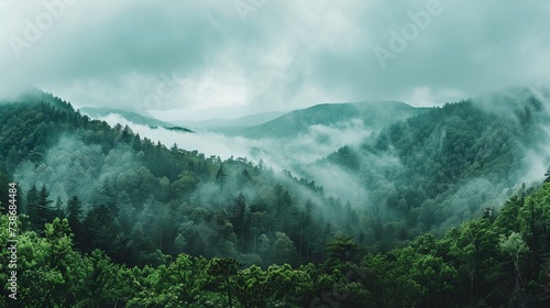 Panorama view of forest hills in smoky mountains national park in cloudy weather, north carolina, usa