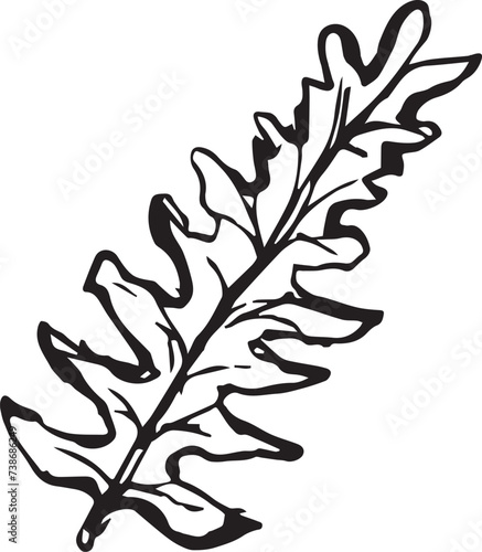 Sketch drawing of a fern in black and white outline. Vintage fern, great design for any purposes.