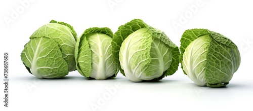 young cabbage vegetables accompanied by a splash of fresh water on an isolated white background