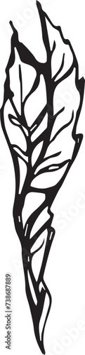 Vintage rowan, great design for any purposes. Hand drawn black illustration.