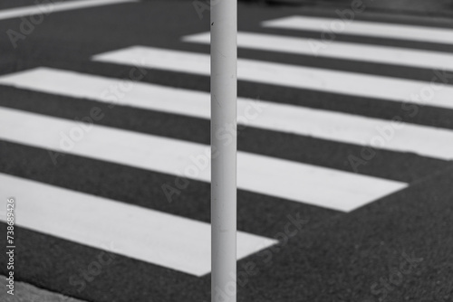 Wallpaper Mural 横断歩道と標識の柱の白い線 Torontodigital.ca