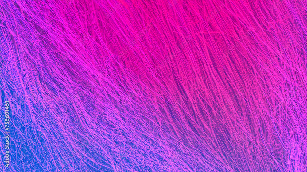 Fototapeta premium Abstract modern background with feather and thread texture in pink purple and blue colors