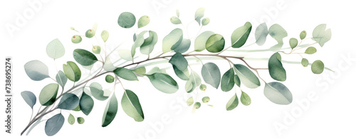 Green eucalyptus leaves stem twig wreath hand drawn. © Jo