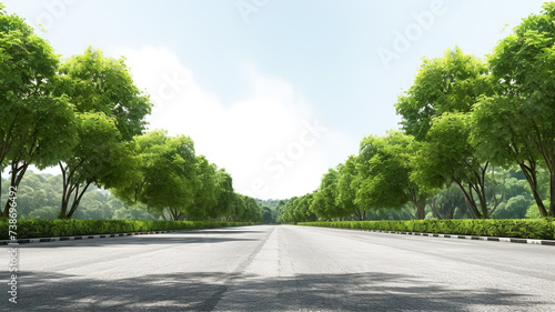 Black road with asphalt. On an entirely white background, there are green trees isolated to the side.