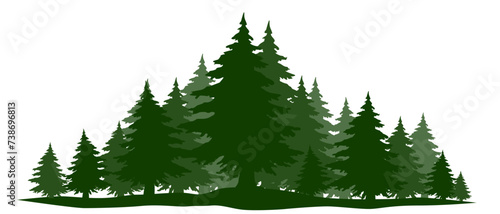 illustration of a christmas tree. Pine forest silhouette illustration with high pines in fir trees forest isolated on white background