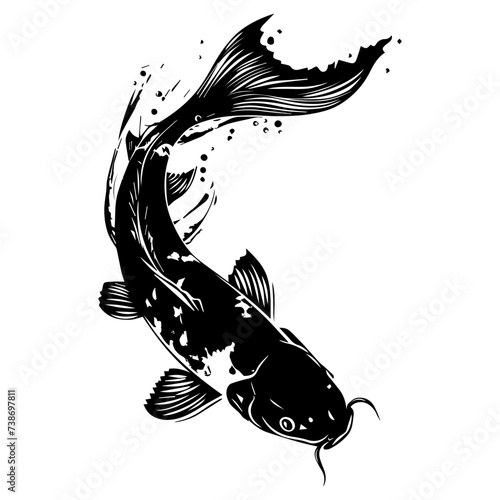 koi fish japan vector illustration