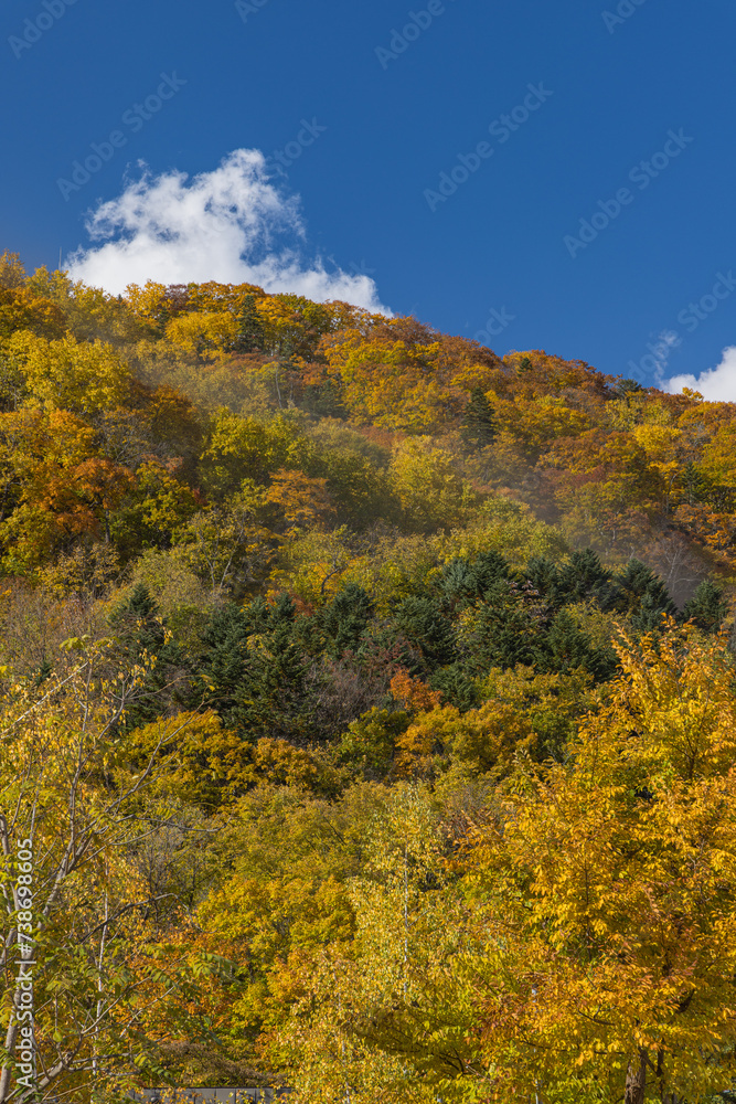 日本　北海道札幌市南区定山渓の紅葉