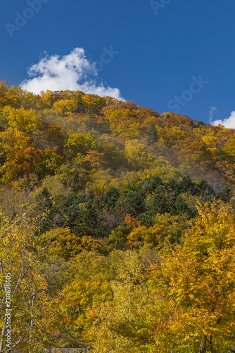 日本 北海道札幌市南区定山渓の紅葉