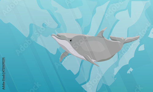Common bottlenose dolphin swim in warm sea water. Realistic vector underwater landscape
