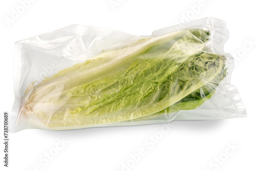 Roman lettuce  in vacuum packed sealed for sous vide cooking, cut out.