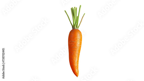 carrot isolated on white
