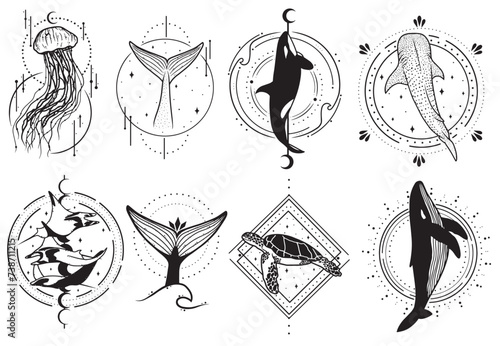 Set of minimalistic ocean creatures line arts with abstract backgrounds, vector art collection