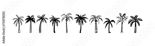 Hand drawn palm tree doodle element set. Black and white hawaiian clipart, isolated summer vacation collection in vintage art style. Tropical plant painting illustration bundle.