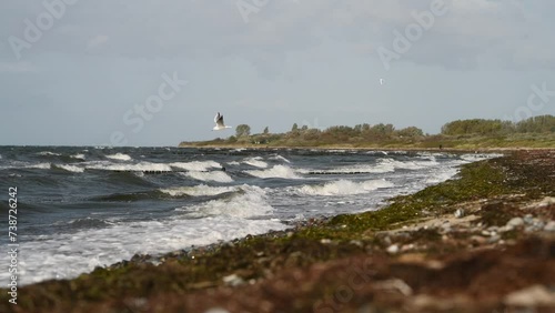 Ostseeküste bei Dranske, Insel Rügen, Deutschland