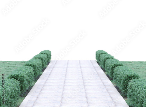 pathway in garden with green hedge isolated