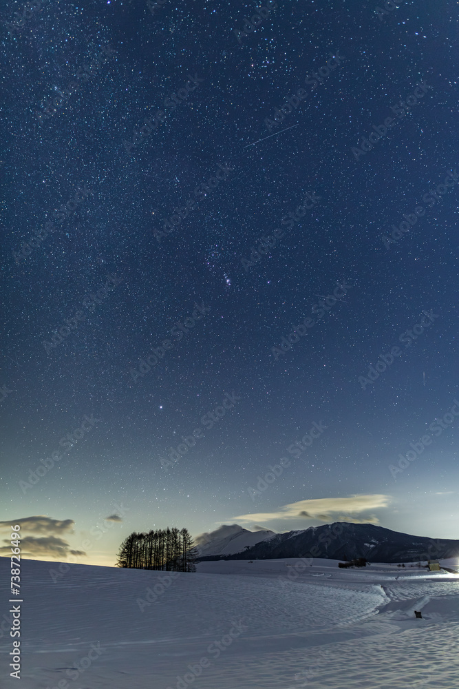 Fototapeta premium 嬬恋高原カラマツの丘から雪原に昇る冬の星空