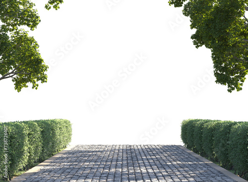 pathway in garden with green hedge and tree