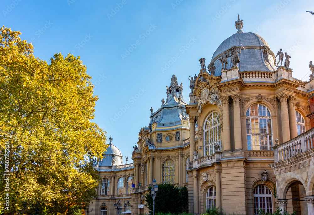 Vajdahunyad castle in autumn, Budapest, Hungary