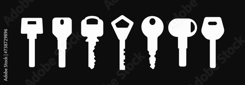 Set of Door keys white silhouettes on dark background. Vector objects