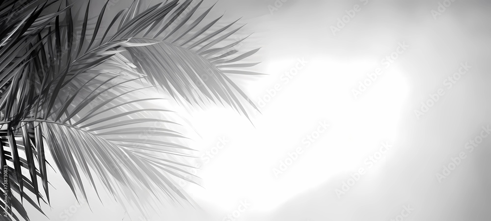 Fototapeta premium Tropical palm leaves on white background, Generative AI illustrations.