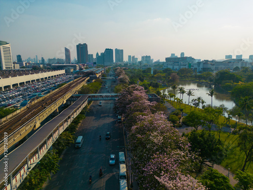 Aerial view pink sakura flower blossom on city road Chatuchak public park with transport road © themorningglory