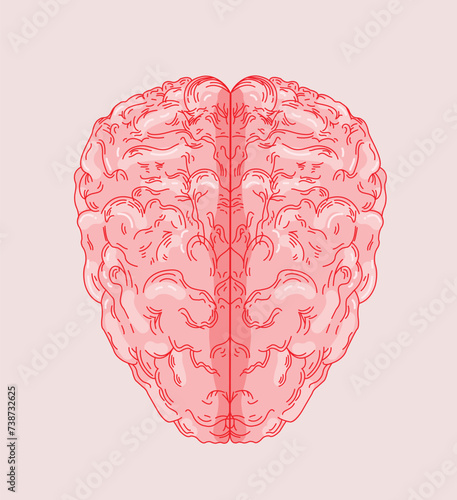 Neural Nexus. Vector Illustration of the Brain. (ID: 738732625)