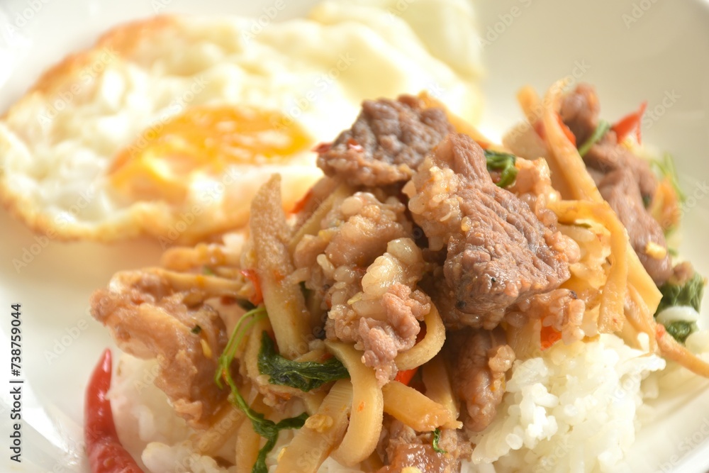 spicy stir fried bamboo shoot and slice beef meat with basil leaf topping egg on rice in plate spicy stir fried bamboo shoot and slice beef meat with basil leaf topping egg on rice in plate