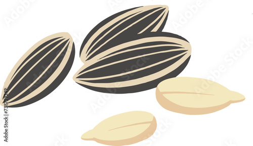 Melon seeds, sunflower seeds, illustration, Taiwan, China, dark, food, protein,