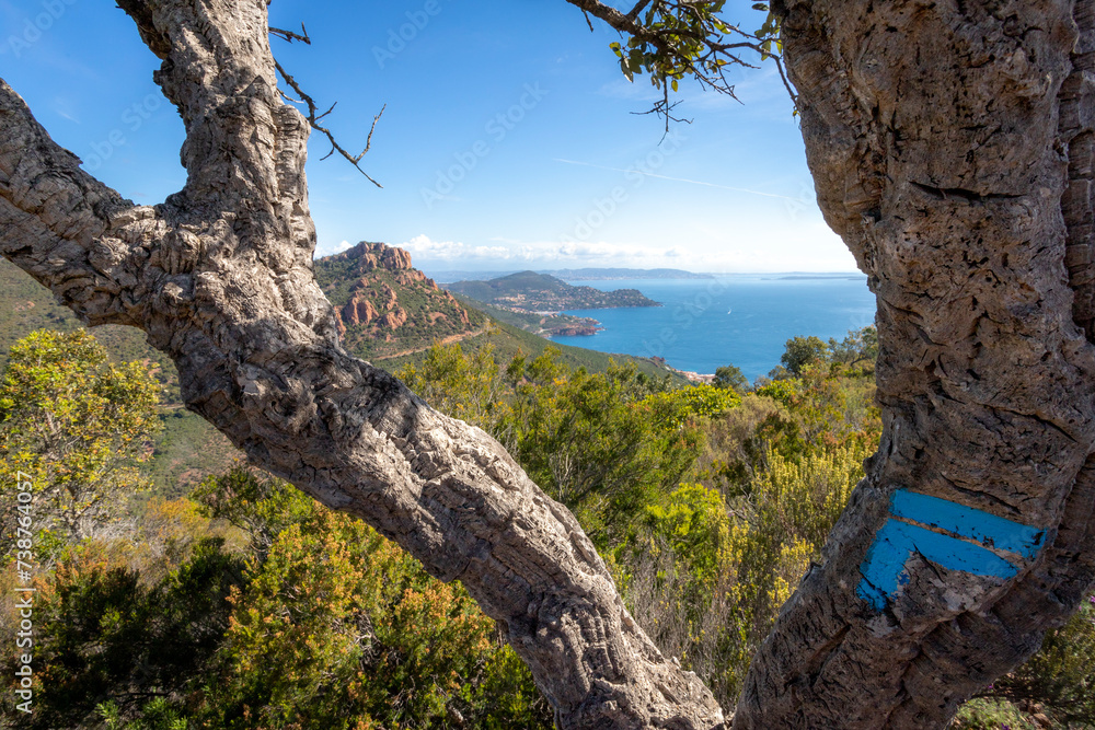 Massif de l'Esterel 