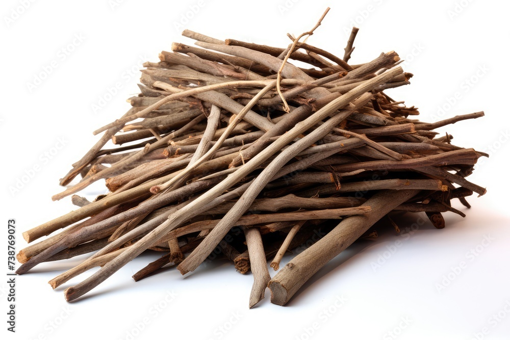 Branches pile isolated. Dry twigs pile ready for campfire, sticks, boughs heap for a fire Branches pile isolated. Dry twigs pile ready for campfire, sticks, boughs heap for a fire