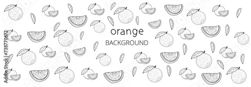 Orange fruit background, design element for packaging, banner, postcard, fabric, illustration sketch