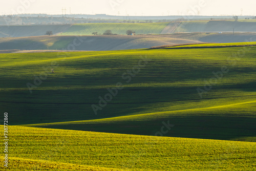 Green fields in the light of the setting sun. Agricultural landscape suitable for computer background.