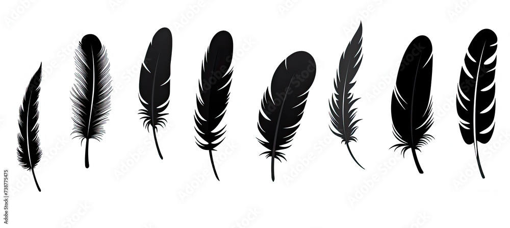 Feather icons. Set of black feather Icons. isolated on white background - obrazy, fototapety, plakaty 