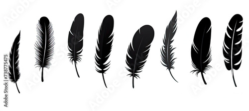 Feather icons. Set of black feather Icons. isolated on white background photo